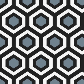 Overlook Black and White Geometric Surface Hexagons