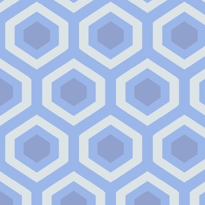 Overlook light blue tones geometric surface Hexagons
