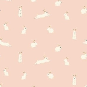 (S) - easter Bunny Rabbits on Light Pink