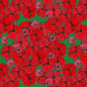 red poppy multi blossoms green background