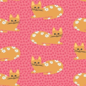 Happy Orange Cat on Pink floral background
