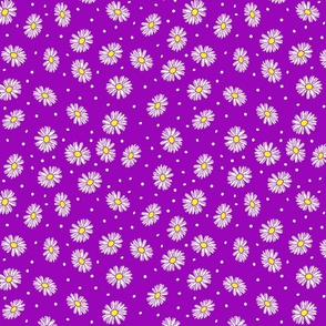 Daisy Dots Uplifting Summer Days in White Daises over Purple
