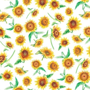 Bright Sunflower Toss (medium)