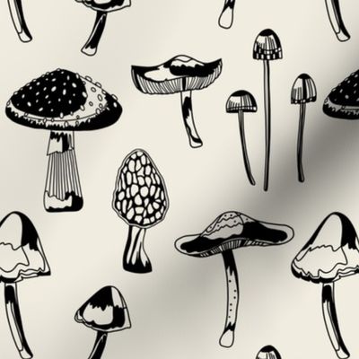 Just Mushrooms // Black on Cream