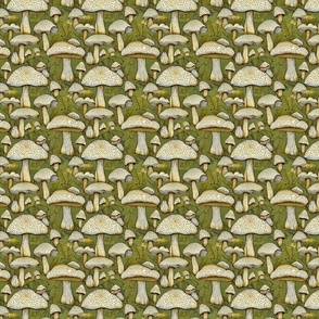 Beige and green mushrooms 2