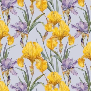 Yellow  and Purple Irises on Lavender Background