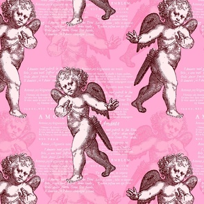 Pink Vintage Cupids