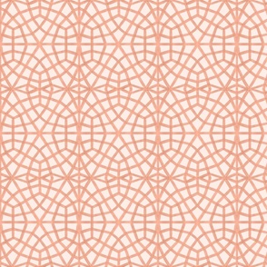 Moroccan Ornate Grid Pattern Terra Cotta - Medium Scale