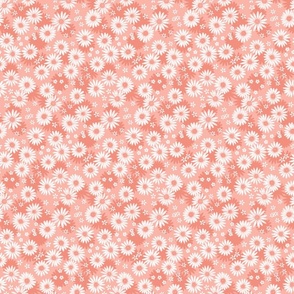 Summer Daisies - peach pink - small