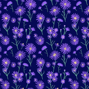 Aster flower bright purple on dark moody blue