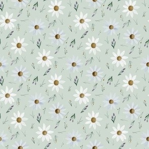 Small - Easter Daisy - Sage Green