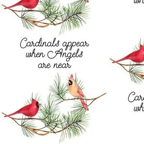 Cardinals appear when Angels are near