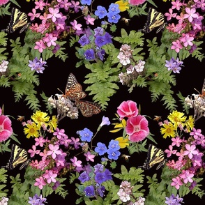 Southwest Spring Wildflowers & Butterflies on Black