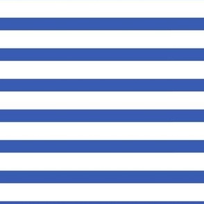12 x 12 Blue and white stripe 