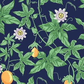 Passion Fruit Flower and Vine - Midnight Navy Blue - LARGE