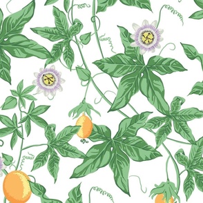 Passion Fruit Flower and Vine - Bright White - LARGE