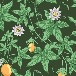 Passion Fruit Flower and Vine - Dramatic Rainforest Green - LARGE