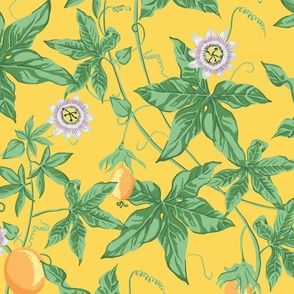 Passion Fruit Flower and Vine - Lemon Zest Yellow - LARGE