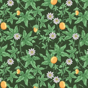 Passion Fruit Flower and Vine - Dramatic Rainforest Green - SMALL
