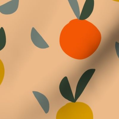 abstract citrus fruit