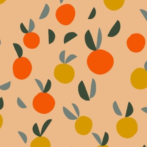 abstract citrus fruit