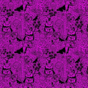 Small Phlox Purple Black Magic Lace 