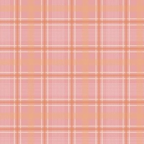 Medium Soft Feminine Plaid Pink Peach Cream