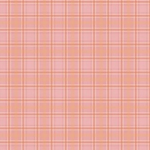 Small Soft Feminine Plaid Pink Peach Cream
