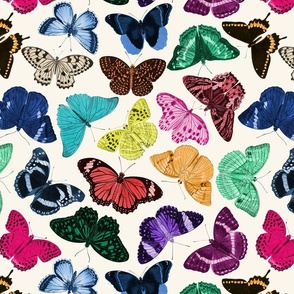 Colourful Butterflies