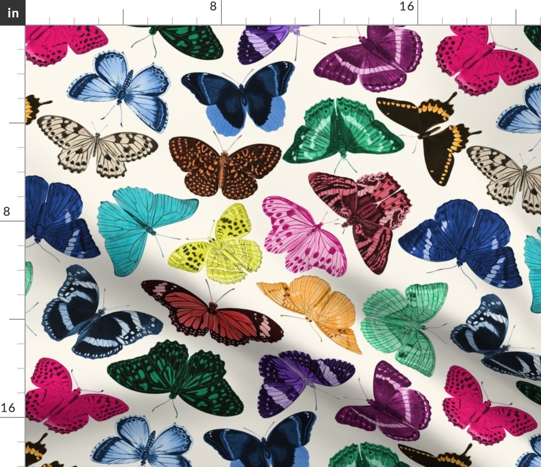 Colourful Butterflies