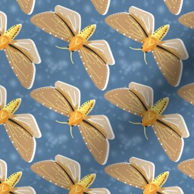 Gold Moths on Blue Small