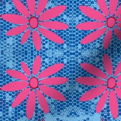 Daisy - Pink and Blue Spotted