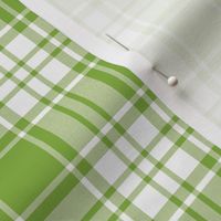 FS Apple Green Plaid with White Background Fabric 