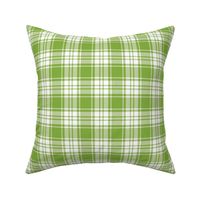 FS Apple Green Plaid with White Background Fabric 