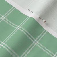 Grid Windowpane Check White on Pistachio Green
