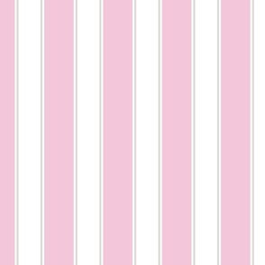 Parisian Pink Stripes
