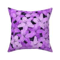 Lilium Flowers Purple