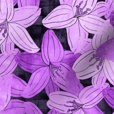 Lilium Flowers Purple