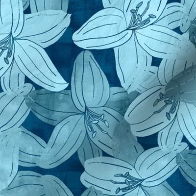 Lilium Flowers Blue
