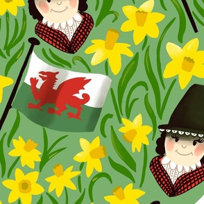 welsh lady with welsh flag wallpaper scale