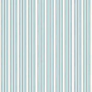 Anderson Stripe_Small_Cool Oasis Blue