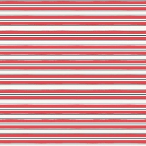 Anderson Stripe Horizontal_Small_Cayenne Red