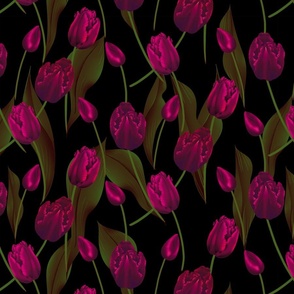 Skagit Tulips 2024 (Negrita Black)