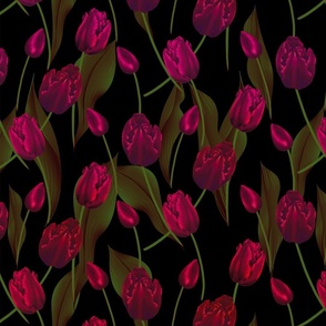 Skagit Tulips 2024 (Dark Red Ombre)