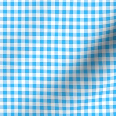 Glassed Gingham Plaid, Cyan Blue