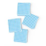 Glassed Gingham Plaid, Cyan Blue