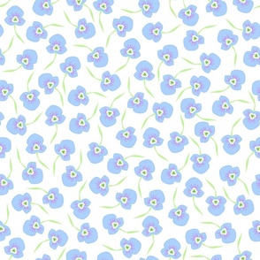 Blue pansies on a white background (Medium)