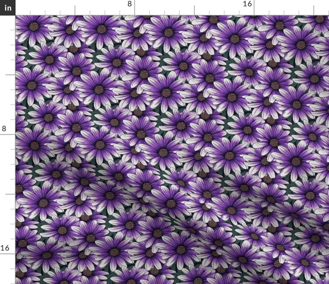 Purple Zion Flowers