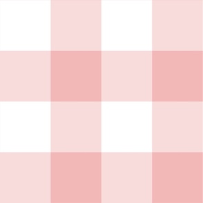 Large Blush Pink Gingham Check f2b8b8