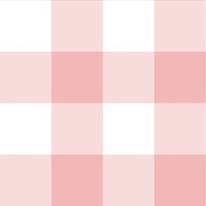 Medium Blush Pink Gingham Check f2b8b8